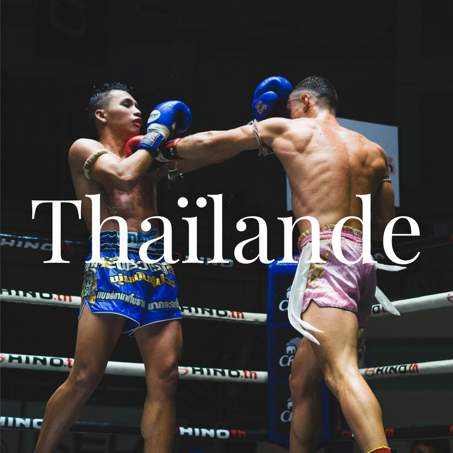 Thailande L’Odyssée de Fayan